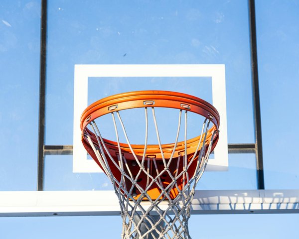 Analyse des performances de l'équipe de France lors des précédentes Coupes du Monde